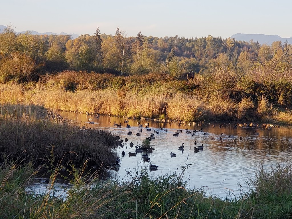 Charles Richardson Nature Reserve | Surrey, BC V4N 5K8, Canada