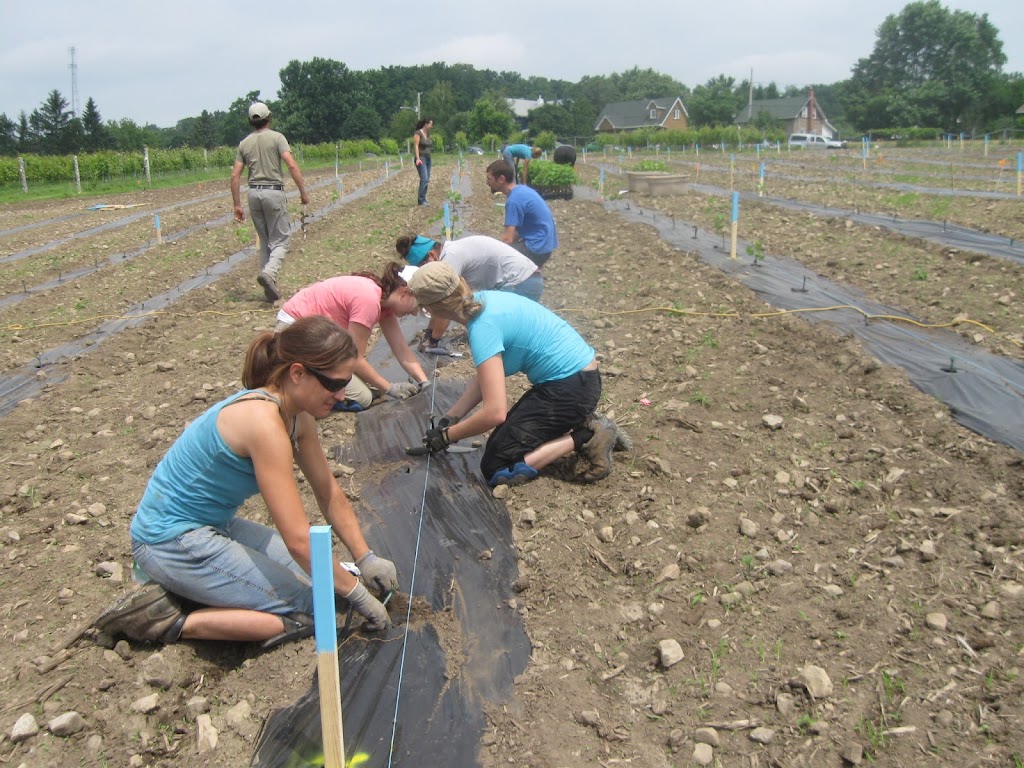 Research Center Food De Mirabel | 9850 Rue de Belle Rivière, Mirabel, QC J7N 2X8, Canada | Phone: (450) 434-8150