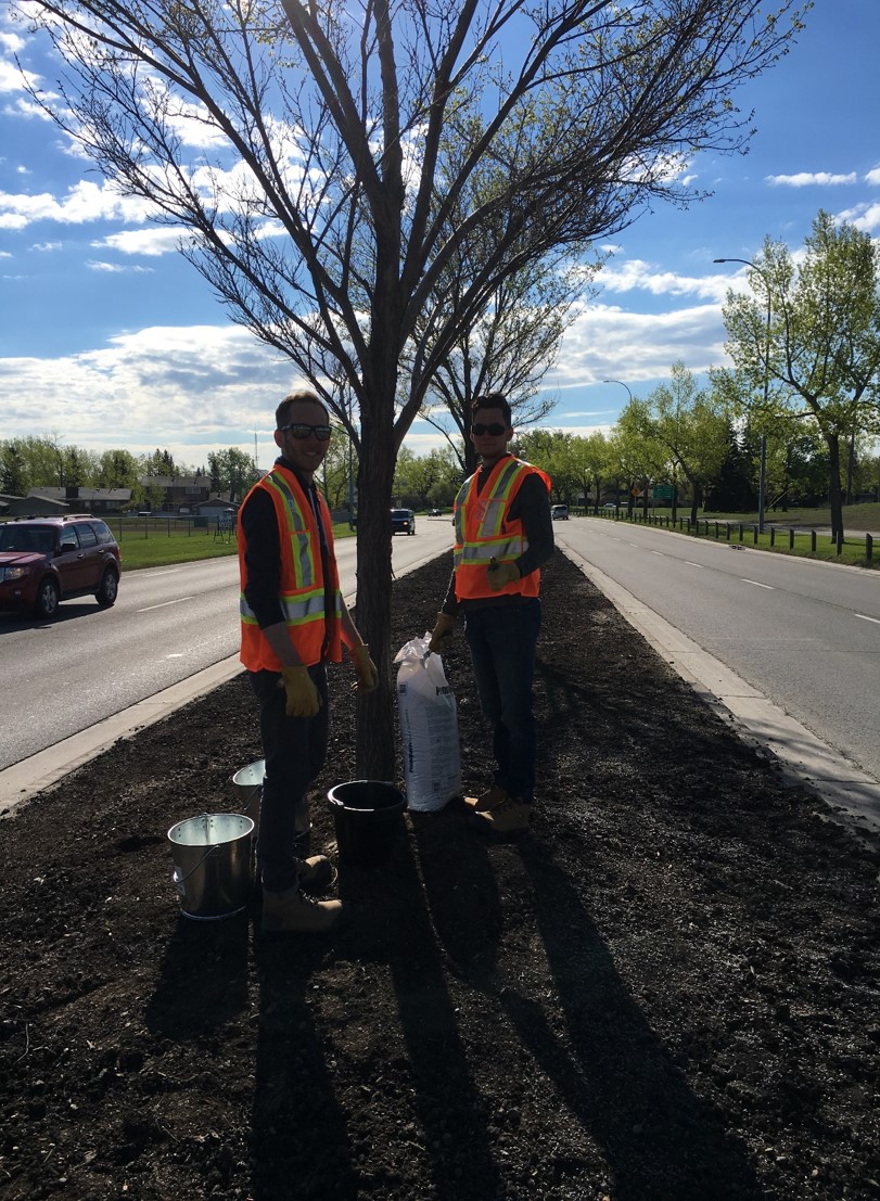 Bee Boulevard | Southeast Calgary, Calgary, AB T2X, Canada