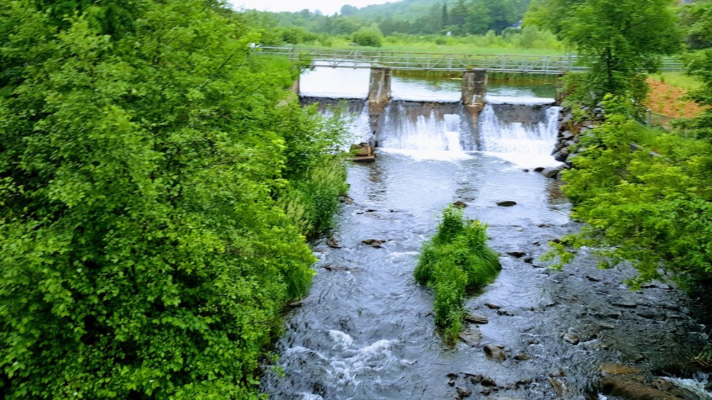 Livres Lac-Brome / Brome Lake Books | 45 Chemin Lakeside, Knowlton, QC J0E 1V0, Canada | Phone: (450) 242-2242