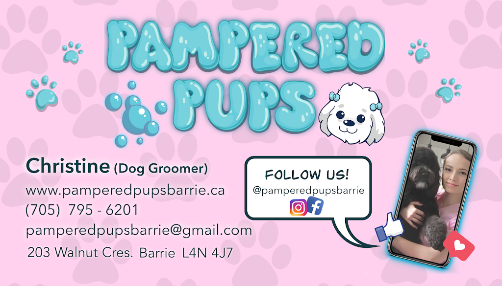 Pampered Pups Dog Grooming | 203 Walnut Crescent, Barrie, ON L4N 4J7, Canada | Phone: (705) 795-6201