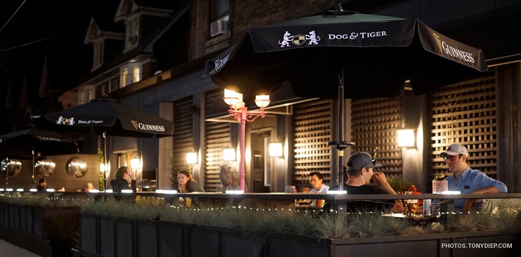 The Dog and Tiger Public House | 537 College St, Toronto, ON M6G 1A9, Canada | Phone: (647) 352-1842