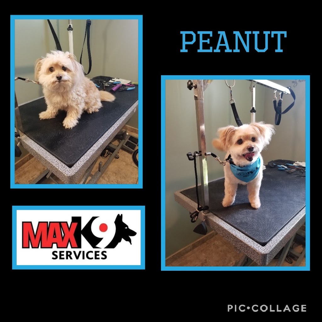 Max K9 Services | 7 Gillingham Cres, Prince Albert, SK S6X 0A5, Canada | Phone: (306) 940-8093