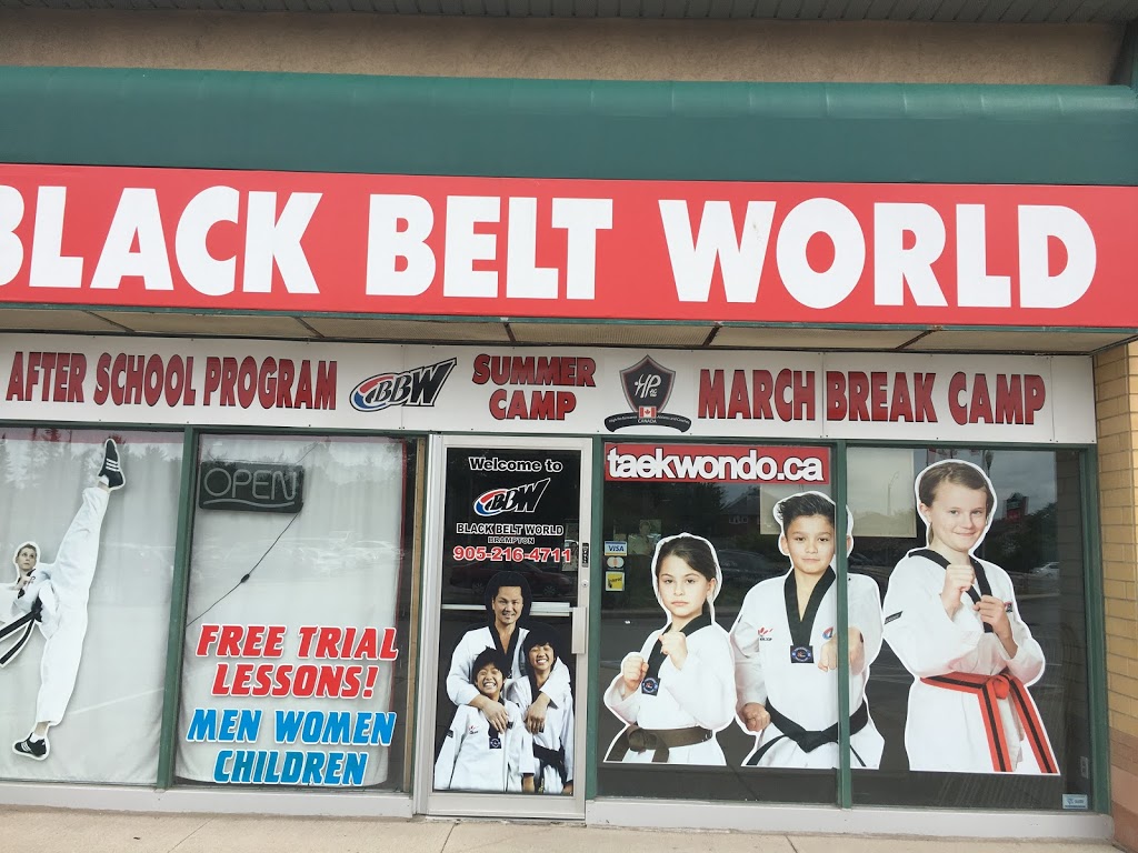 Black Belt World Brampton | 7766 Martin Grove Rd unit 1, Vaughan, ON L4L 2J1, Canada | Phone: (905) 605-7211