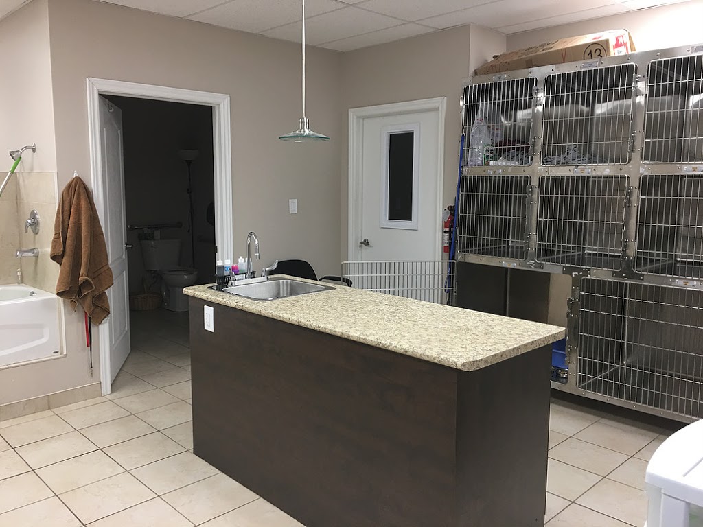 Simcoe Rossland Animal Hospital | 58 Rossland Rd W, Oshawa, ON L1G 2V5, Canada | Phone: (905) 571-7333