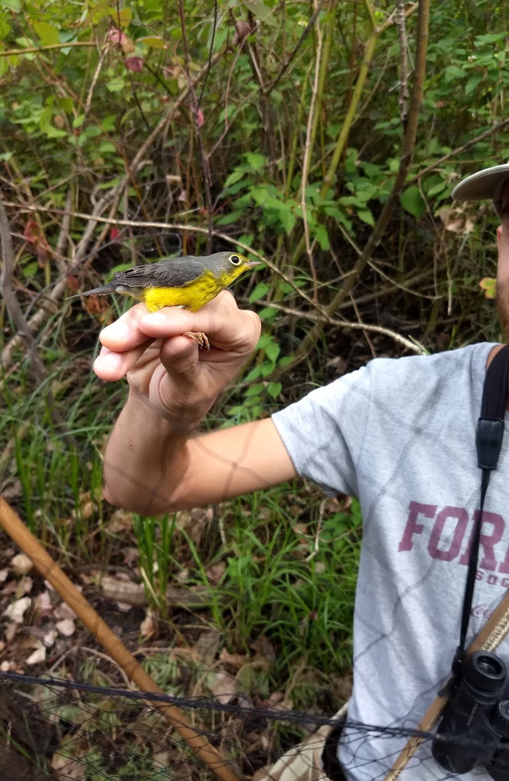 Long Point Bird Observatory | 13 Old Cut Blvd, Port Rowan, ON N0E 1M0, Canada | Phone: (519) 586-3531