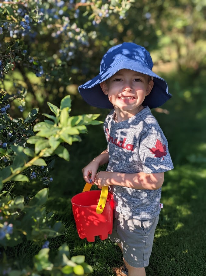 Lougheed Blueberry U-Pick Farm | 19000 River Rd, Richmond, BC V6V 1M3, Canada | Phone: (604) 270-1477