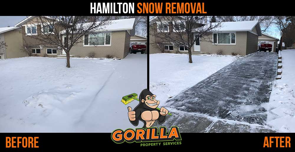 Gorilla Property Services | 2-558 Upper Gage Ave Ste 119, Hamilton, ON L8V 4J6, Canada | Phone: (905) 963-9059