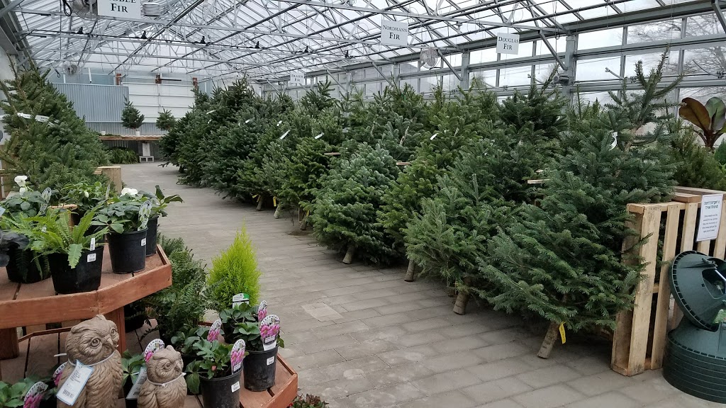 Vander Giessen Nursery | 401 E Grover St, Lynden, WA 98264, USA | Phone: (360) 354-3097