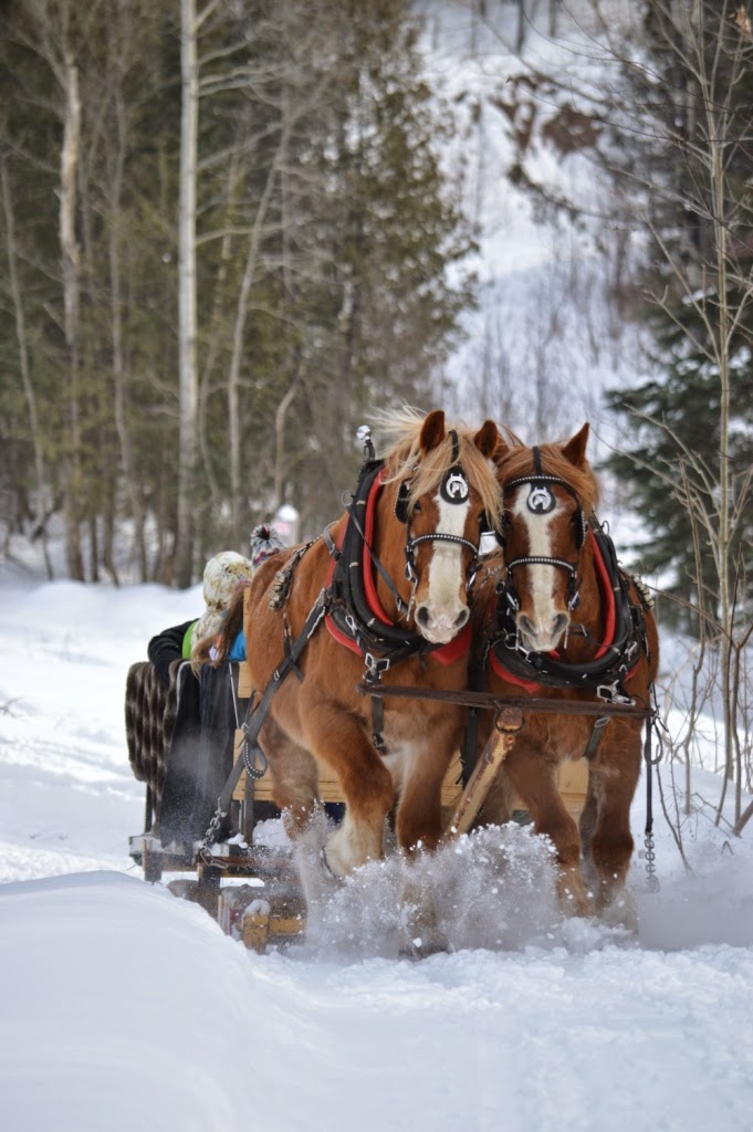 Les Terres Davallon | 1465 Chemin du 6e Rang, Val-des-Monts, QC J8N 7V5, Canada | Phone: (819) 986-8299