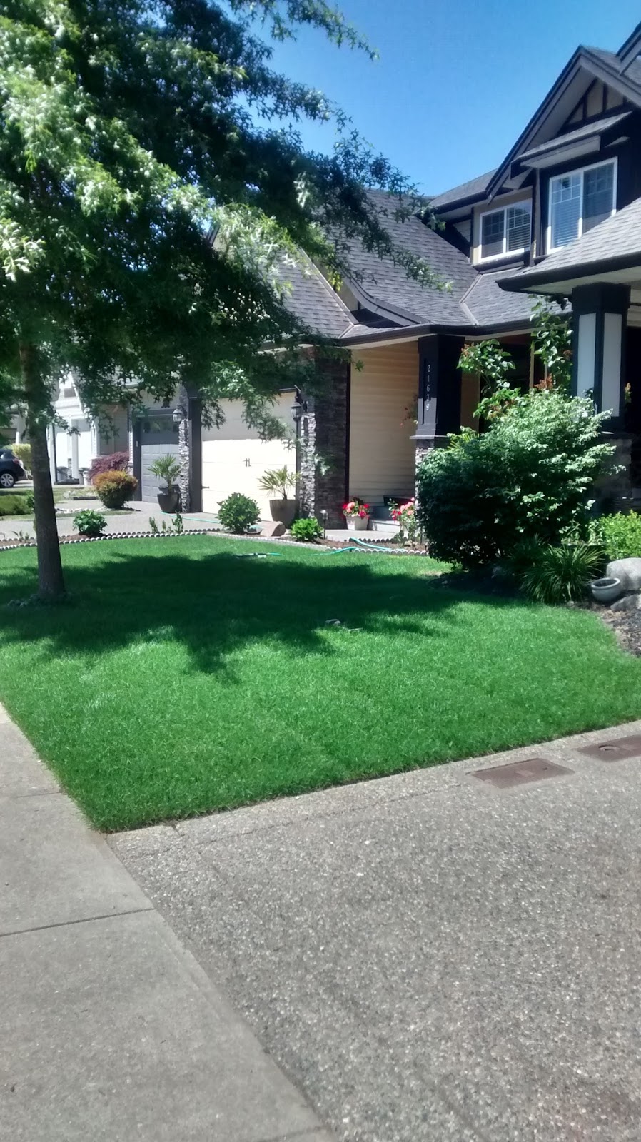 Turf Boys Lawn & Landscape | 21007 92 Ave, Langley City, BC V1M 2C4, Canada | Phone: (604) 309-8798