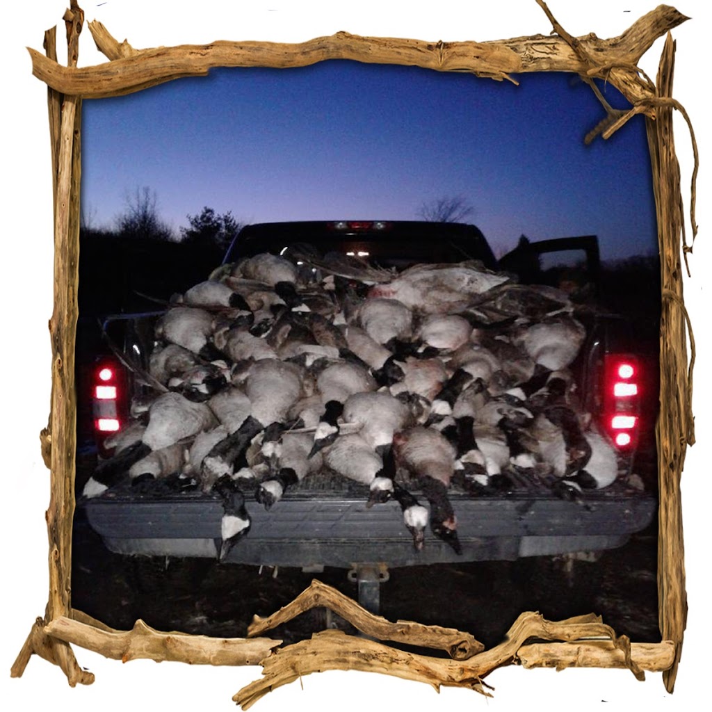 Hill’s waterfowl | Range Rd 255, Strathmore, AB T1P 0K3, Canada | Phone: (587) 727-5649