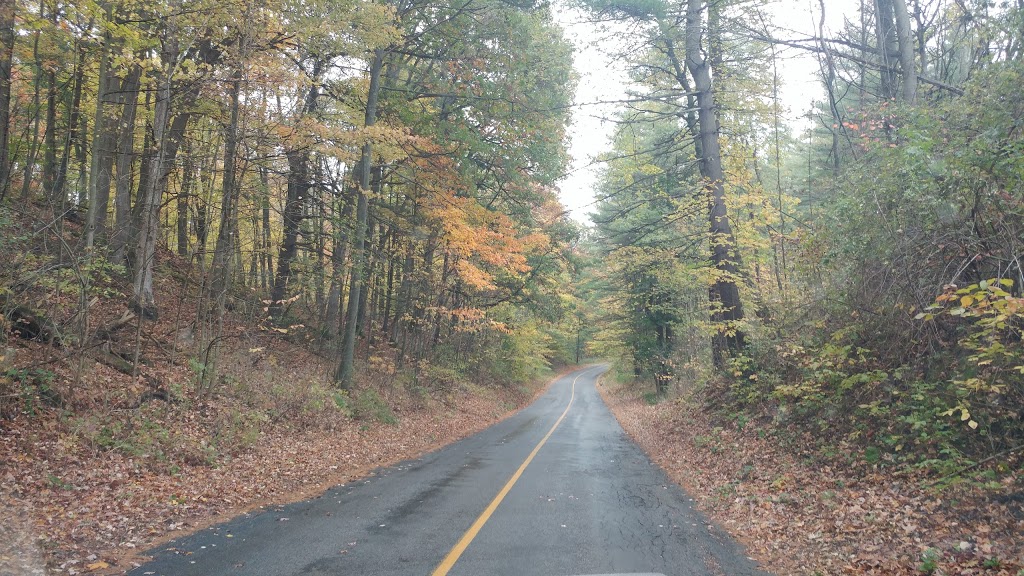 Spooky Hollow Nature Sanctuary | 293 Spooky Hollow Rd, Vittoria, ON N0E 1W0, Canada