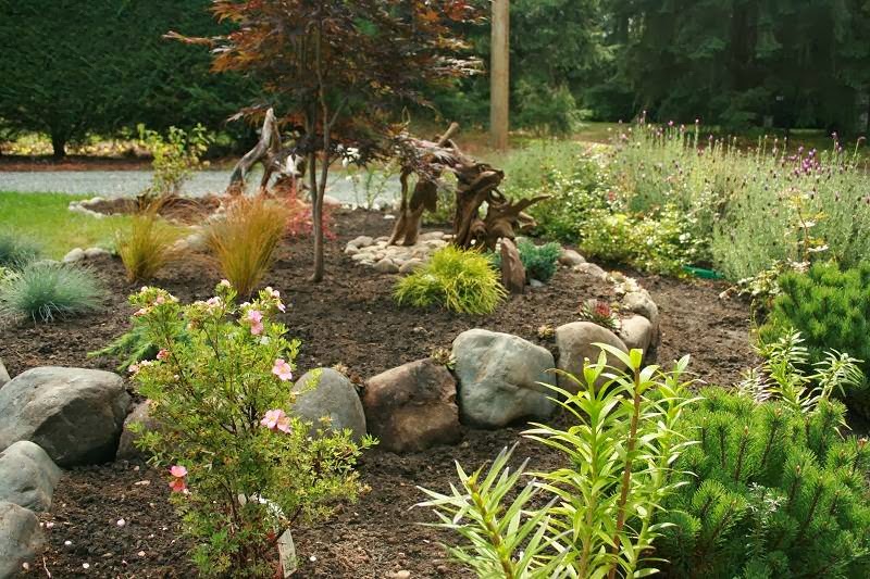 Ceres Edible Landscaping | 360 Duncan St, Duncan, BC V9L, Canada | Phone: (250) 748-8506