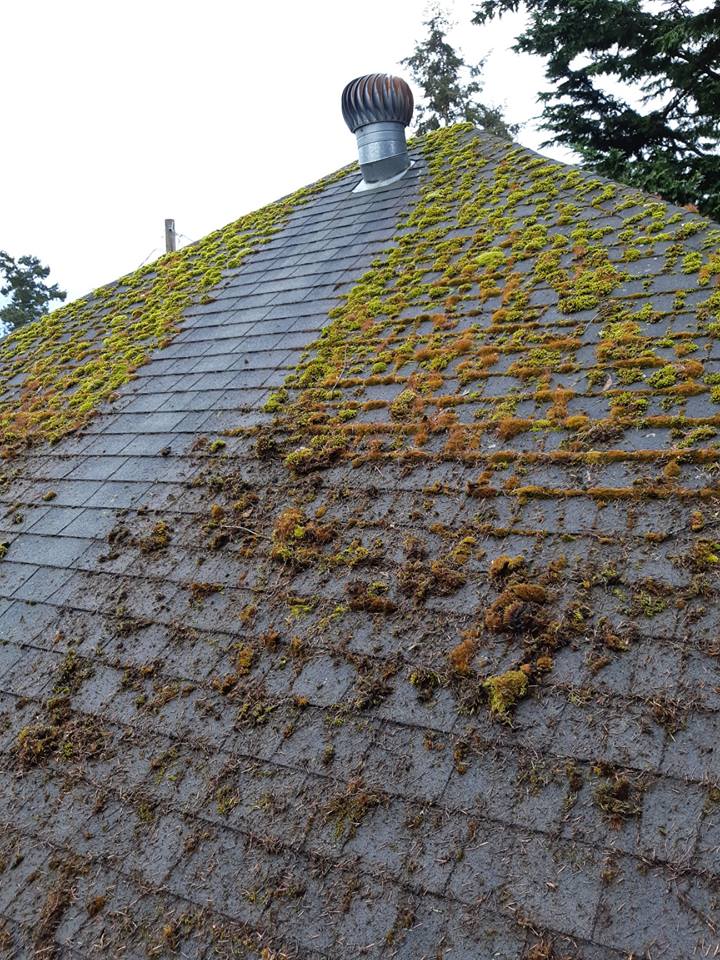 Gulf Islands Roof & Gutter Cleaning | 6018 Crestmount Pl, Duncan, BC V9L 5N1, Canada | Phone: (250) 537-7272