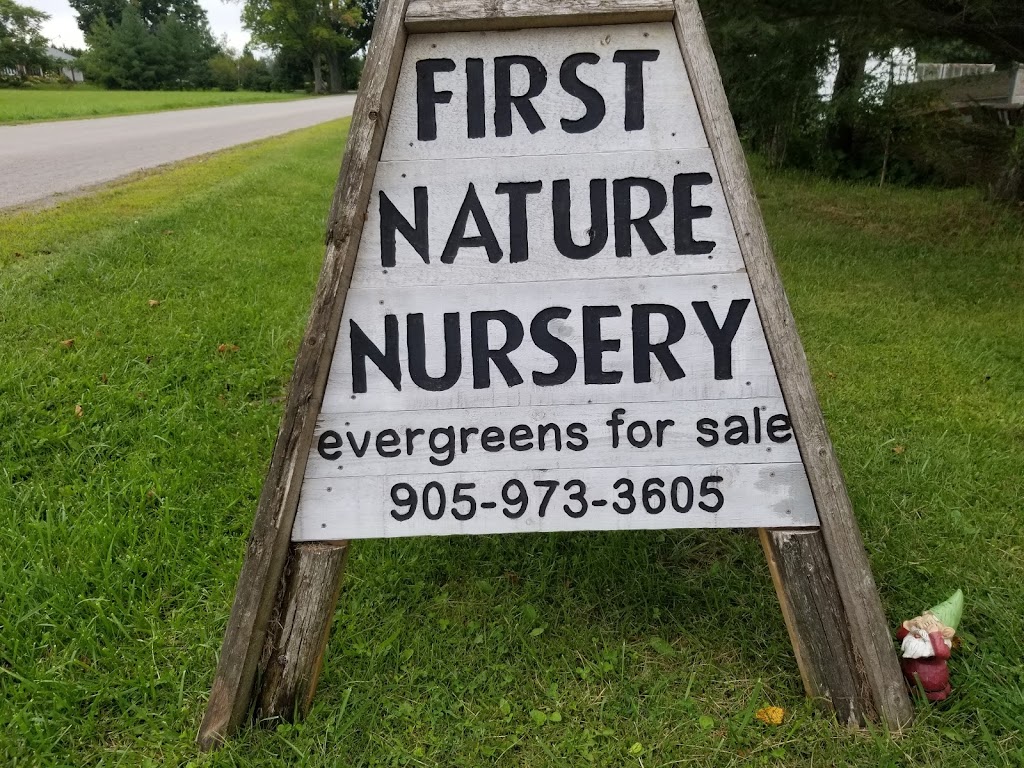 FIRST NATURE NURSERY LTD | 831 Weir Rd S, Lynden, ON L0R 1T0, Canada | Phone: (905) 973-3605