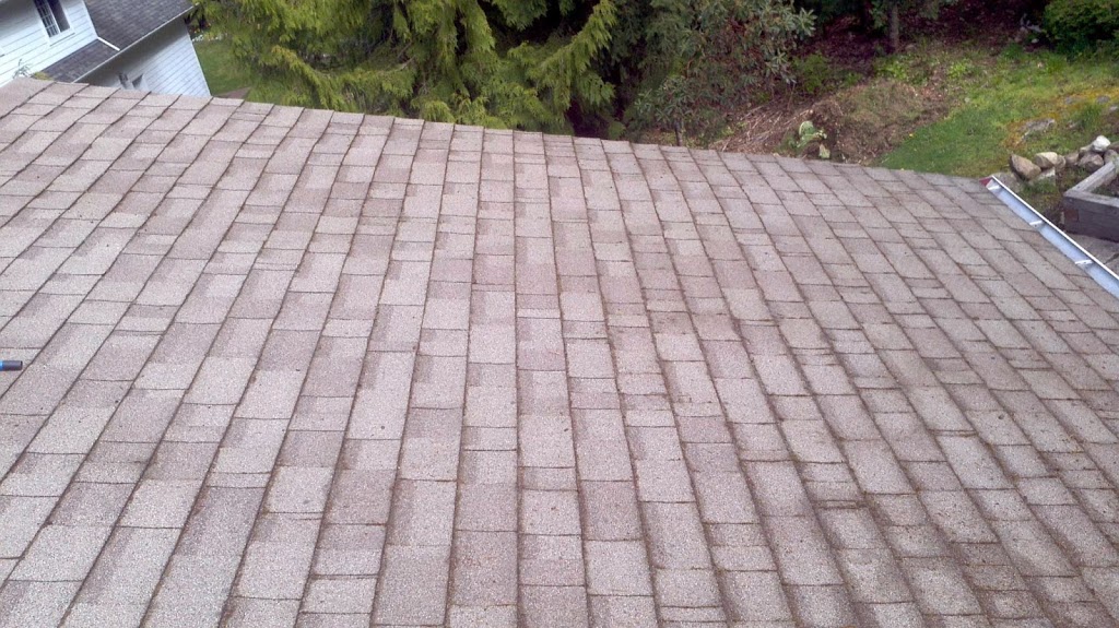 Ranger Industries Moss removal/ Roof Treatment | 923 Jenkins Ave, Victoria, BC V9B 2N8, Canada | Phone: (250) 661-2241