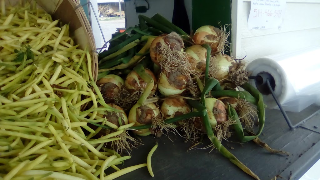 Les Légumes Charbonneau | 133 Chemin du Vide, Sainte-Angèle-de-Monnoir, QC J0L 1P0, Canada | Phone: (450) 460-7567