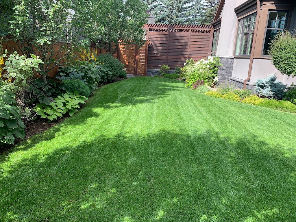 Calgary Best Lawn Care | 57 Ave SW, Calgary, AB T2V 0H4, Canada | Phone: (587) 969-5296