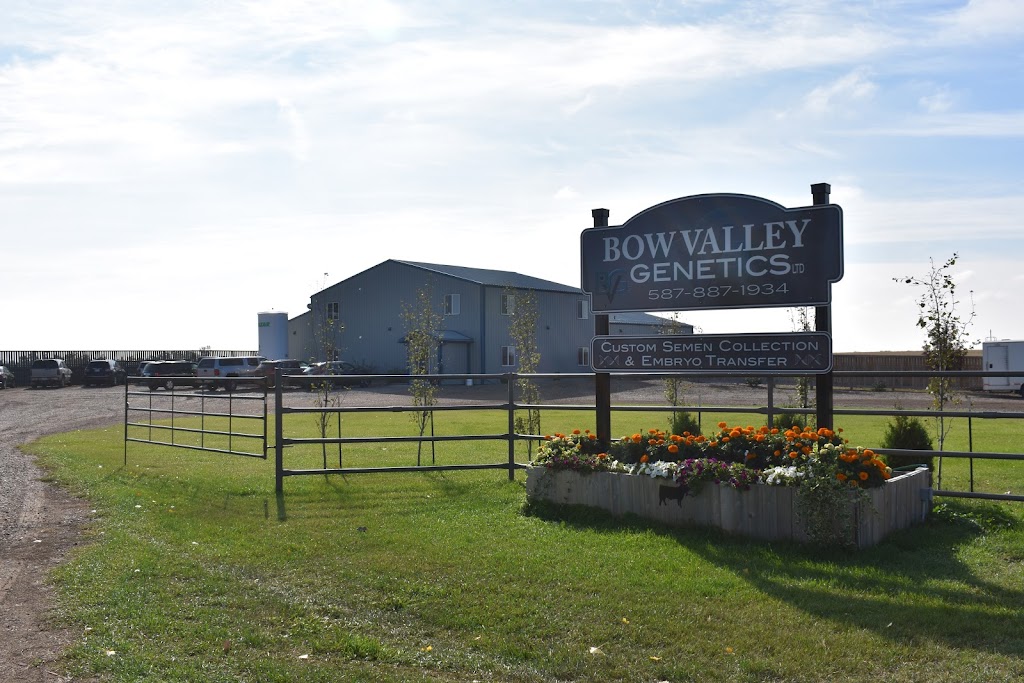 Bow Valley Genetics Ltd. | 170037 SH 550, Rosemary, AB T0J 2W0, Canada | Phone: (587) 887-1934