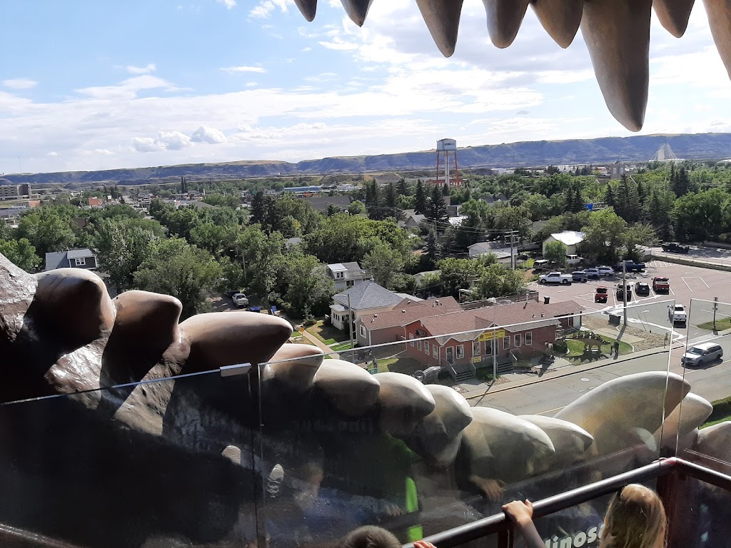 Worlds Largest Dinosaur | 60 1 Ave W, Drumheller, AB T0J 0Y0, Canada | Phone: (866) 823-8100