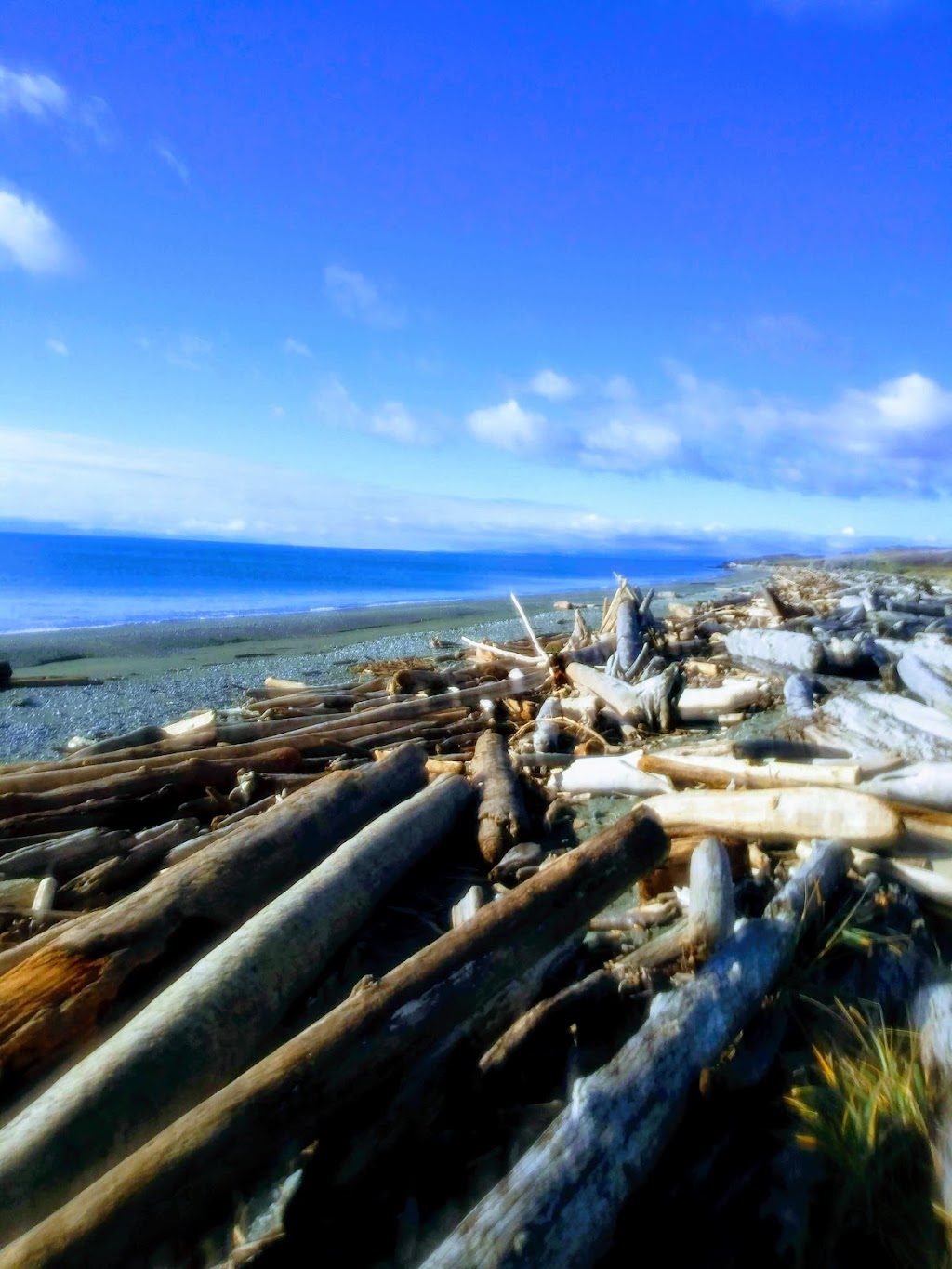 South Beach | Anacortes - Friday Harbor, Friday Harbor, WA 98250, USA