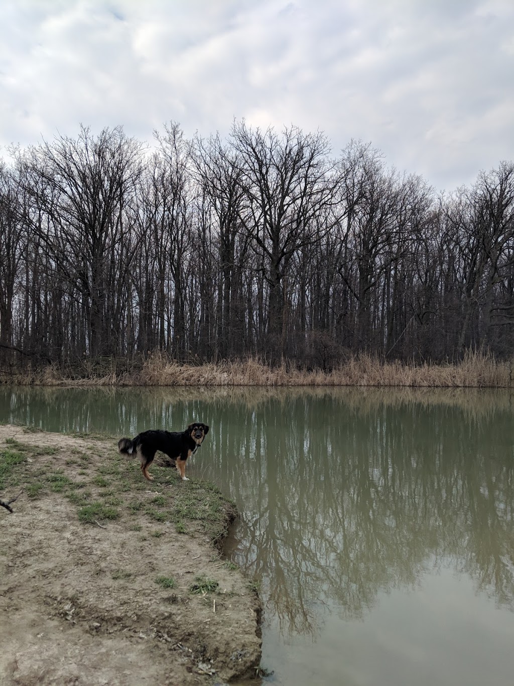 Glenridge Quarry Naturalization Site | 1860 Sir Isaac Brock Way, St. Catharines, ON L2T 4C2, Canada | Phone: (800) 263-7215