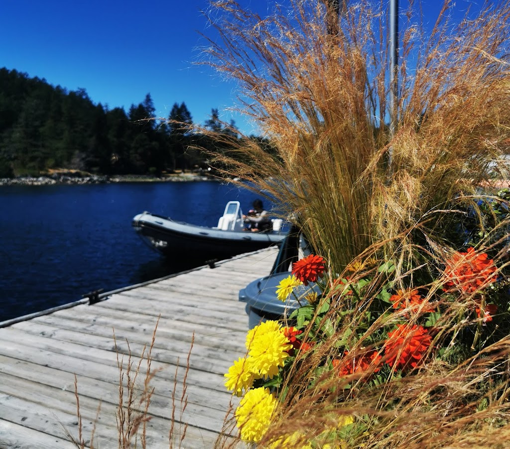 Secret Cove Marina & Store | 5411 Secret Cove Rd, Halfmoon Bay, BC V7Z 1B7, Canada | Phone: (604) 885-3533