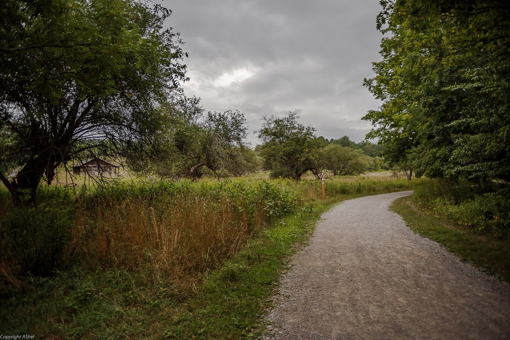 Dundas Main Loop | Bruce Trail, Dundas, ON L9H 5E3, Canada