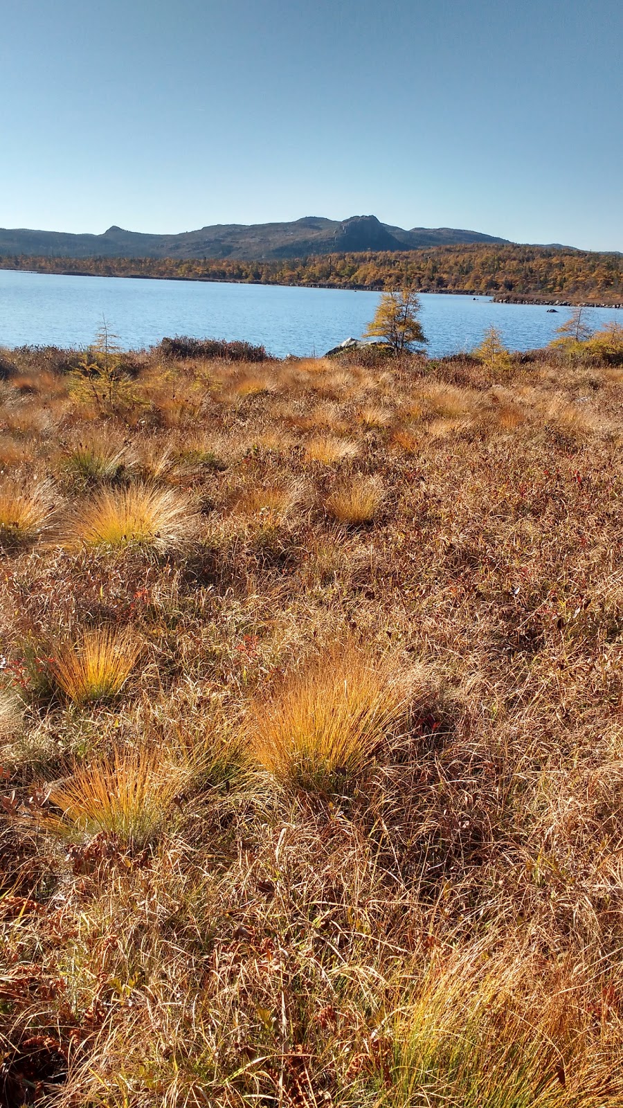 Avalon Wilderness Reserve | Aquaforte, NL A0A 1A0, Canada | Phone: (709) 685-1853