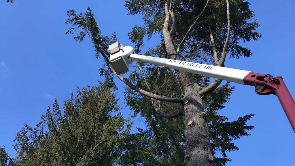 Foster Tree Care | 1038 Station Rd, Coombs, BC V0R 1M0, Canada | Phone: (250) 248-7898