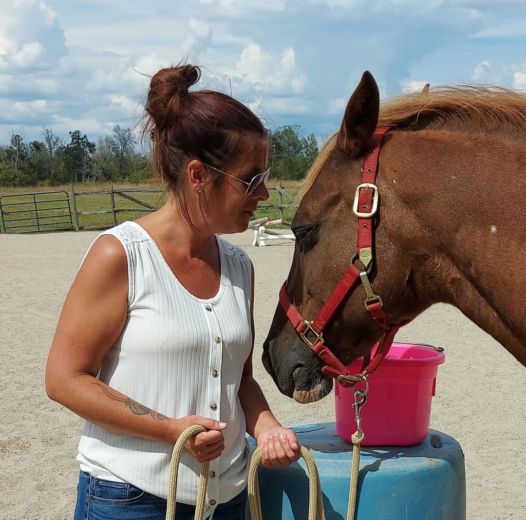 Grace Acres Equine Connection | 2050 Vent Rd, Napanee, ON K7R 3K9, Canada | Phone: (613) 214-2963