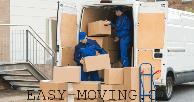 Trans Moving Newmarket | 738 Srigley St, Newmarket, ON L3Y 1X5, Canada | Phone: (416) 520-3575