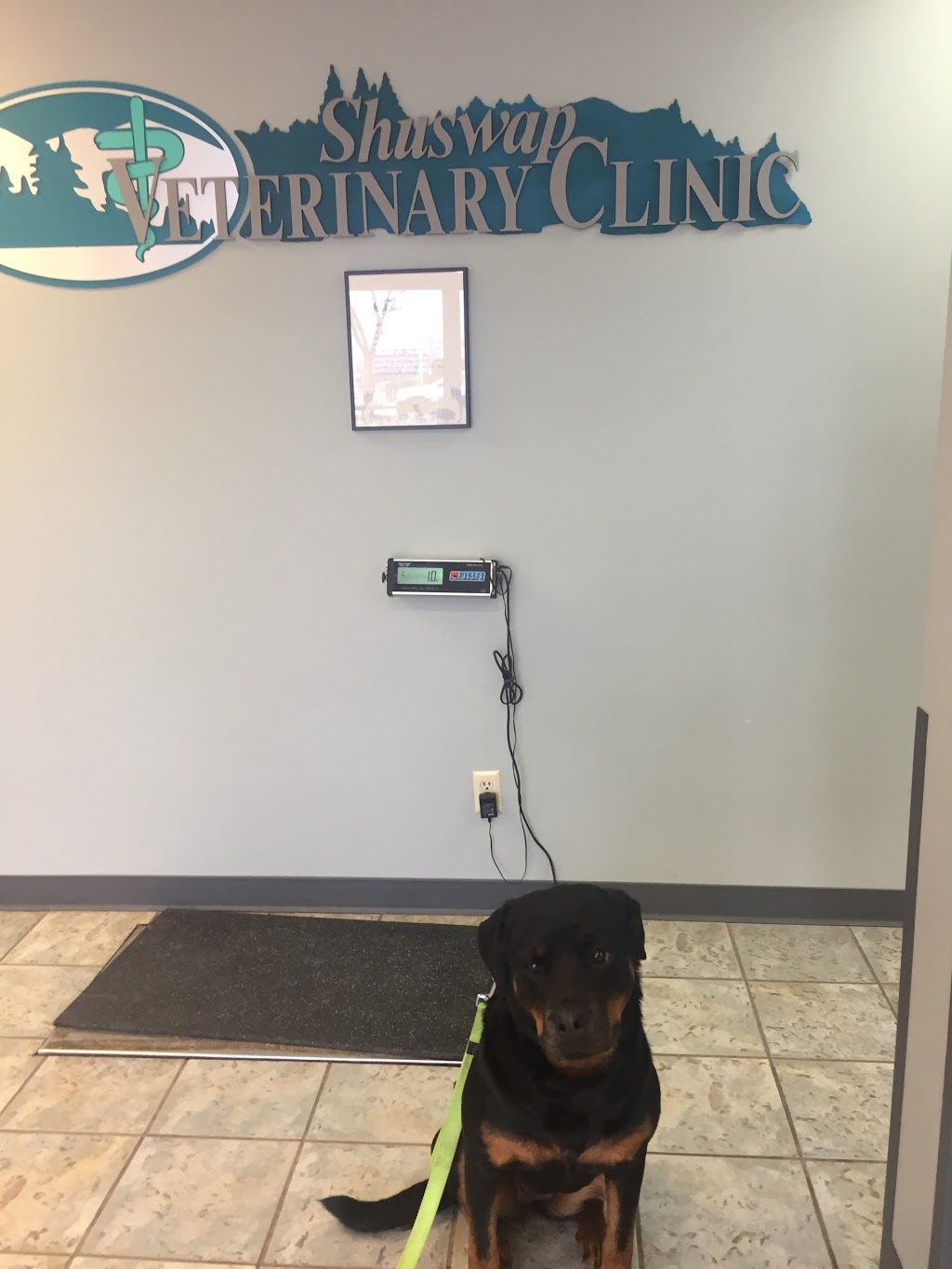 Shuswap Veterinary Clinic | 1050 4 Ave SW, Salmon Arm, BC V1E 4M2, Canada | Phone: (250) 832-6069