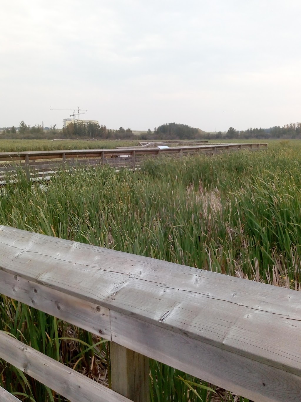 John E. Poole Wetlands | Unnamed Road, St. Albert, AB T5V, Canada