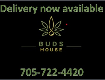 Buds House | 201 Hurst Dr #6, Barrie, ON L4N 8K8, Canada | Phone: (705) 722-4420