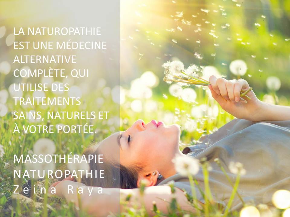 Massothérapie Naturopathie Zeina Raya | 2529 Rue Allard, Montréal, QC H4E 2L5, Canada | Phone: (514) 769-1500