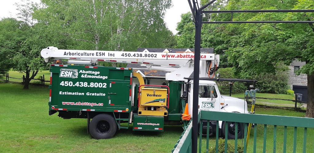 Arboriculture Esh Inc | 896 Rue Lamontagne, Saint-Jérôme, QC J5L 1V2, Canada | Phone: (450) 438-8002