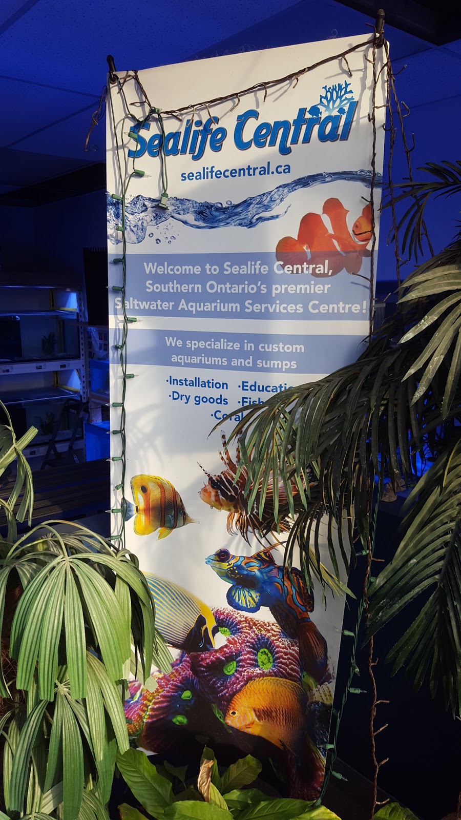 Sealife Central | 3392 Wonderland Rd S Building 9 Unit 11, London, ON N6L 1A6, Canada | Phone: (519) 652-6100