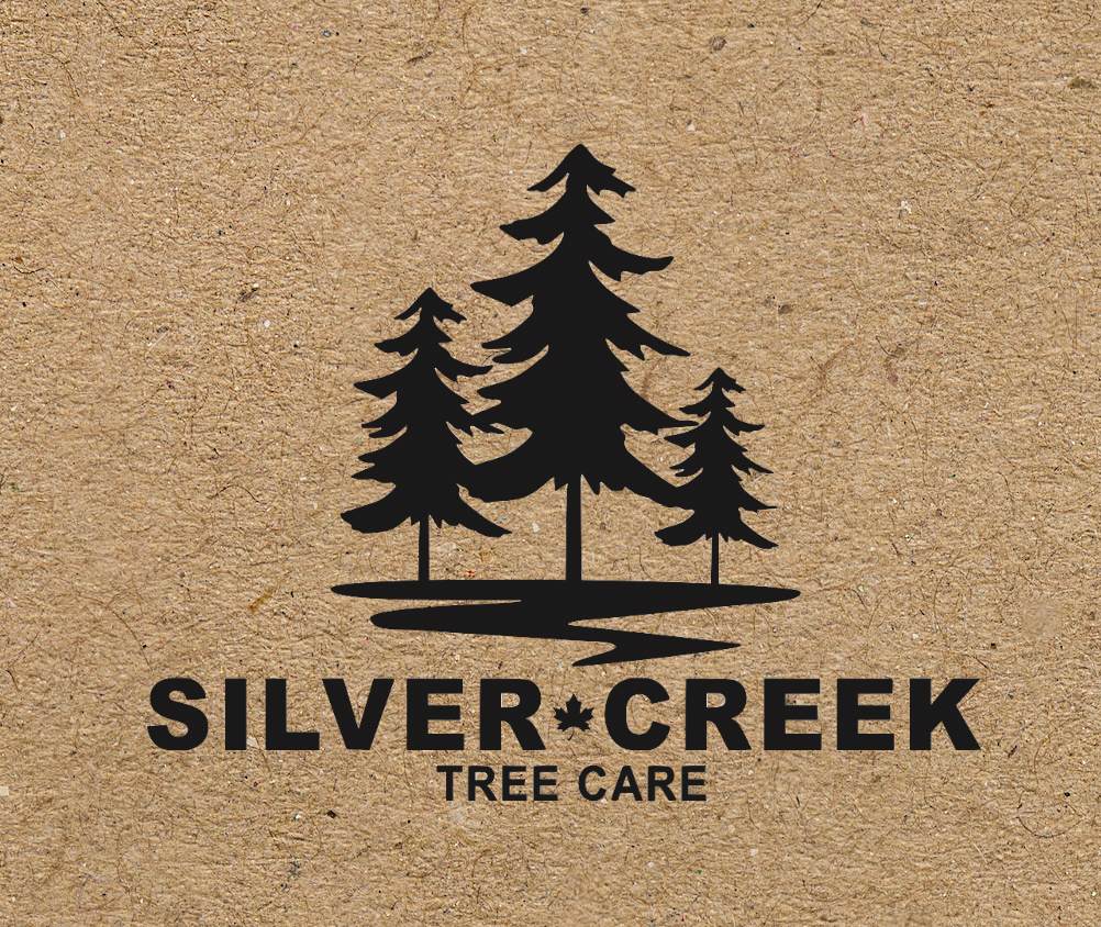 Silver Creek Tree Care | 13112 ON-7, Georgetown, ON L7G 4S4, Canada | Phone: (416) 258-1237
