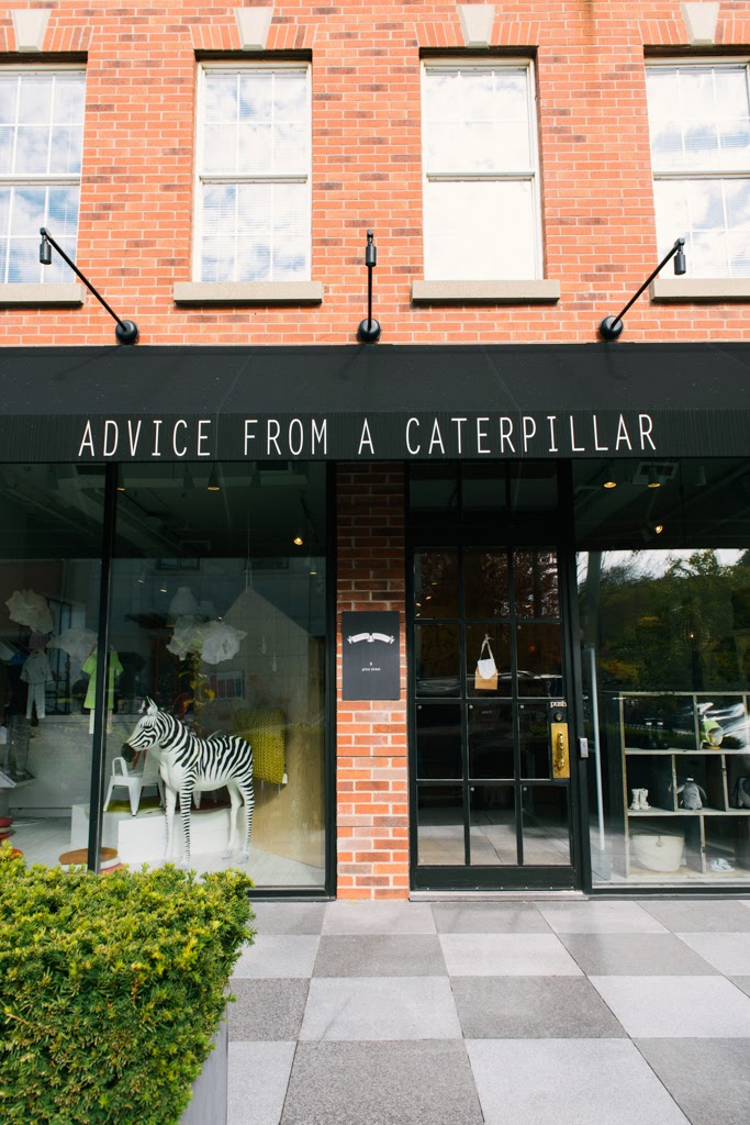 Advice From A Caterpillar | 8 Price St, Toronto, ON M4W 1Z4, Canada | Phone: (416) 960-2223