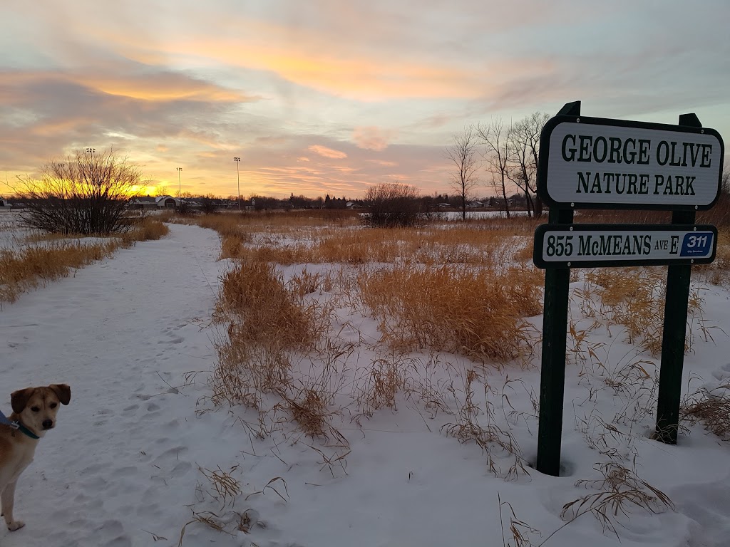 George Olive Nature Park | 855 McMeans Ave E, Winnipeg, MB R2C 4B3, Canada