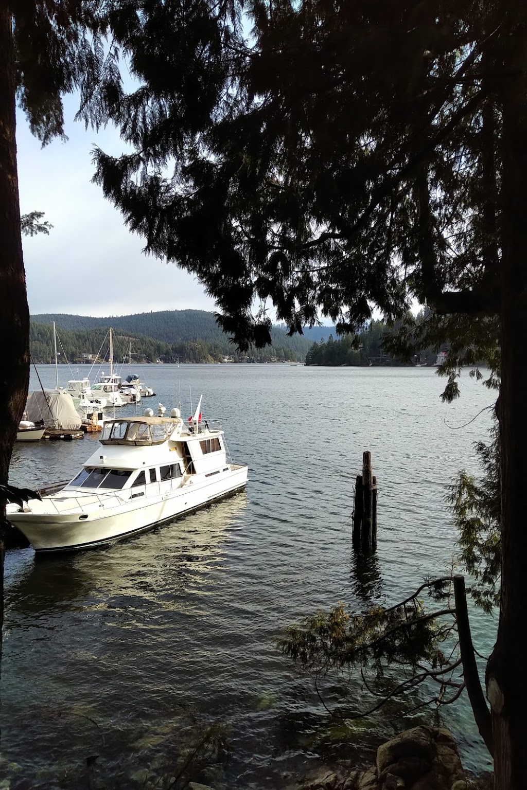 Deep Cove North Shore Marina & Rentals | 2890 Panorama Dr, North Vancouver, BC V7G 1V6, Canada | Phone: (604) 929-1251