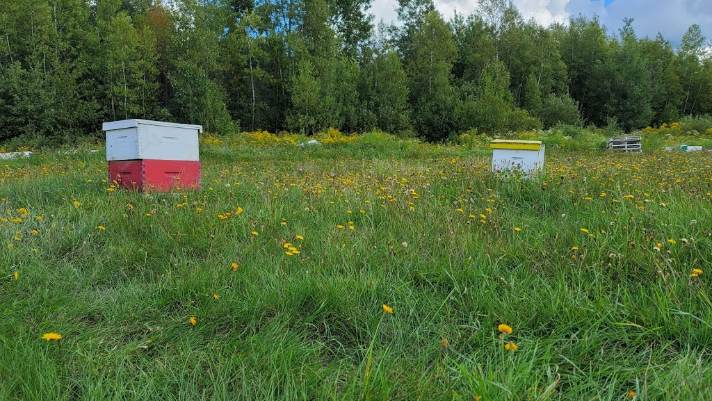 Ferme Mépat | 1809 1e Rang, Val-Alain, QC G0S 3H0, Canada | Phone: (418) 744-3724