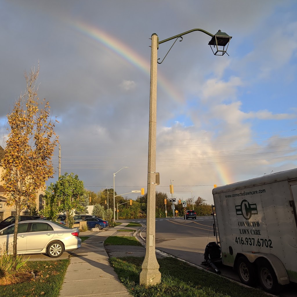 Connected Lawn Care | 146 Lakeshore Rd W Suite 484, Oakville, ON L6K 1E0, Canada | Phone: (416) 937-6702