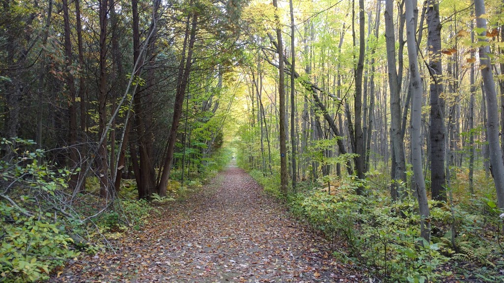 Dewberry Trail | Dolman Ridge Rd, Orléans, ON K1C 7G4, Canada