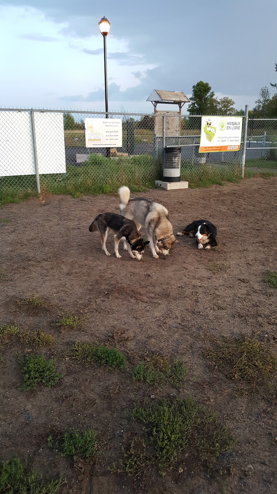 dog park Vauquelin Saint-Hubert | 5800 Boul Vauquelin, Saint-Hubert, QC J3Y 8Y9, Canada | Phone: (450) 463-7311