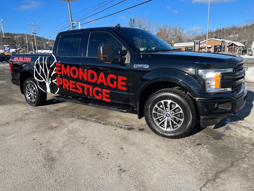 Emondage prestige | 1395 Chem. du 1er Rang de Doncaster, Sainte-Lucie-des-Laurentides, QC J0T 2J0, Canada | Phone: (819) 216-3300