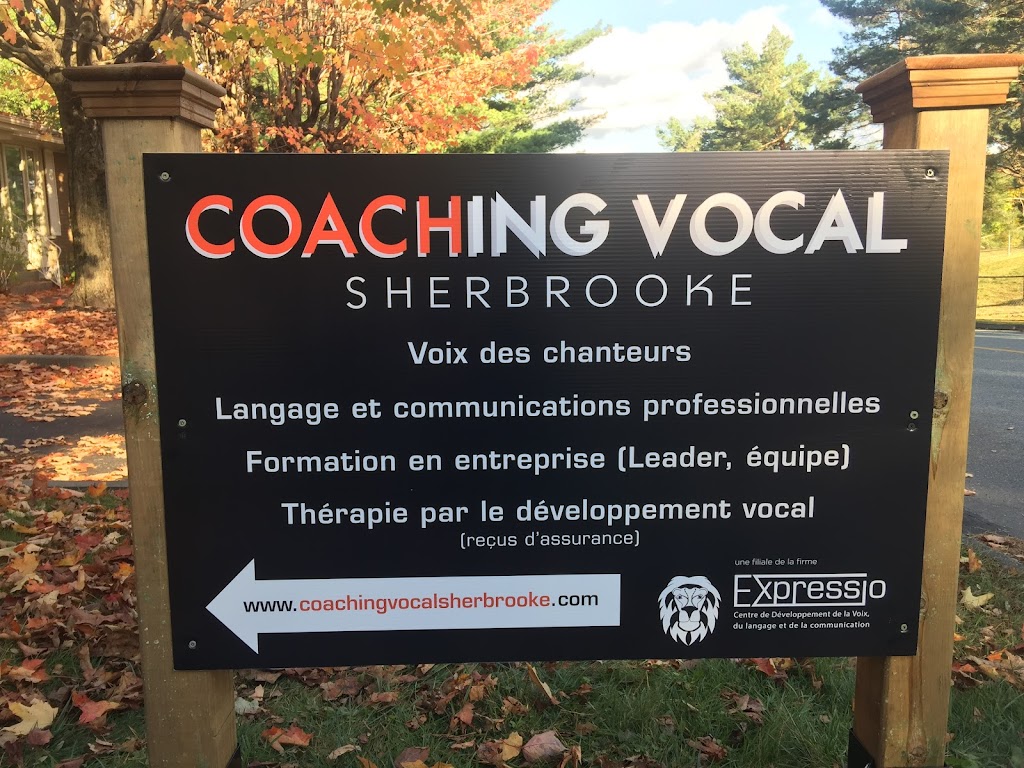 Coaching Vocal Sherbrooke | Rue Leslie, Sherbrooke, QC J1H 5V1, Canada | Phone: (873) 339-2782