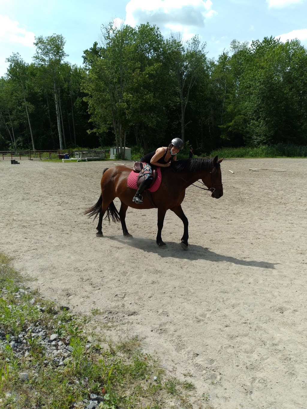 Miron Valley Stable & Riding School | 337 Miron Rd, Quinte West, ON K8V 5P6, Canada | Phone: (613) 394-5587